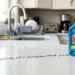Does Windex kill ants