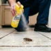 Does Lysol Kill Roaches